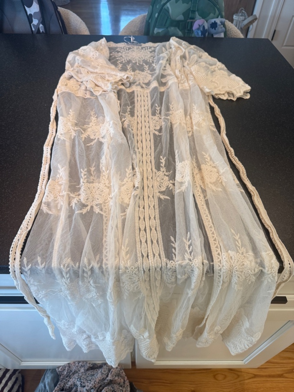 Sheer Embroidered Lace Robe in Cream